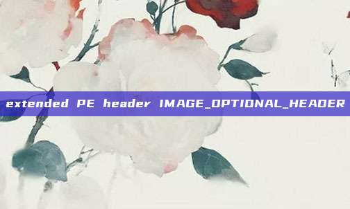 extended PE header IMAGE_OPTIONAL_HEADER