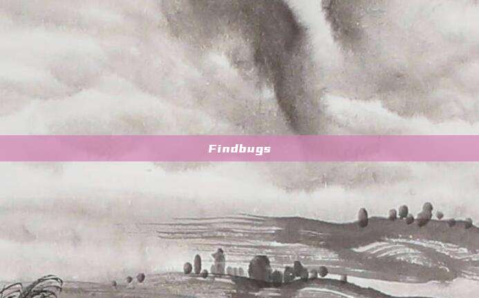 Findbugs