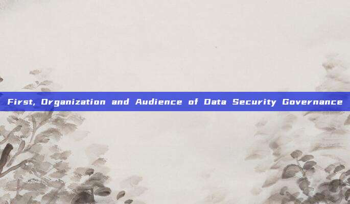 First, Organization and Audience of Data Security Governance