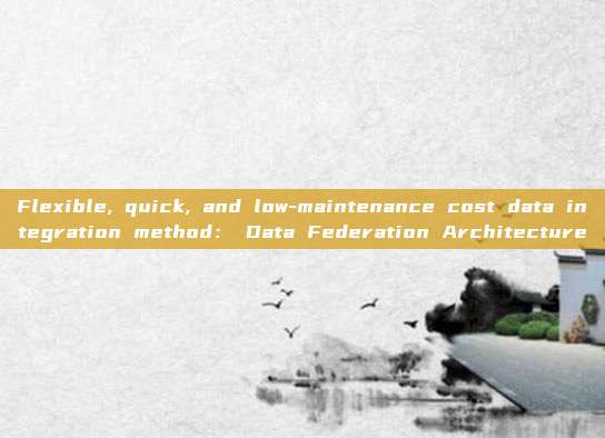 Flexible, quick, and low-maintenance cost data integration method: Data Federation Architecture