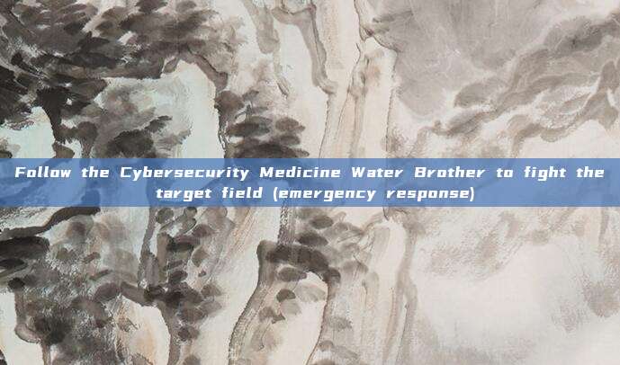 Follow the Cybersecurity Medicine Water Brother to fight the target field (emergency response)