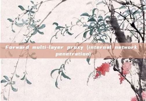 Forward multi-layer proxy (internal network penetration)