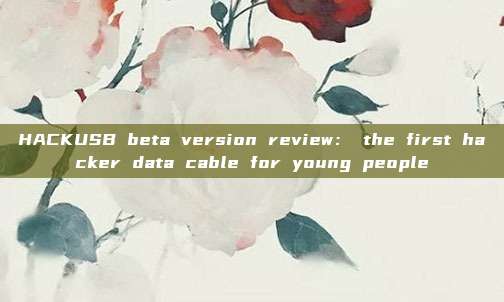 HACKUSB beta version review： the first hacker data cable for young people