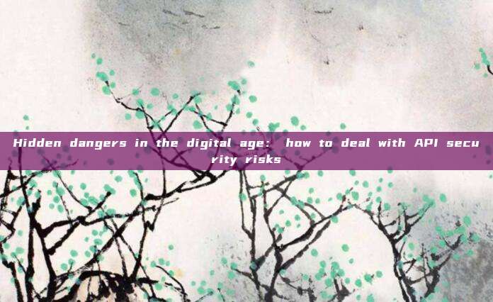 Hidden dangers in the digital age: how to deal with API security risks