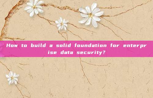 How to build a solid foundation for enterprise data security？