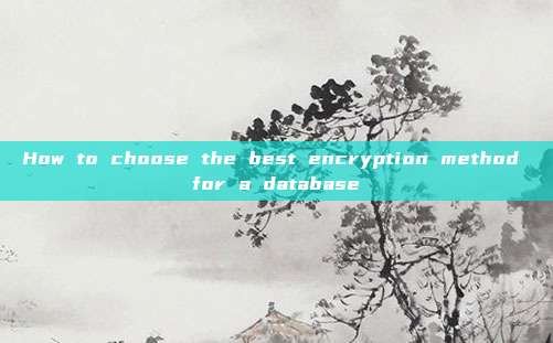 How to choose the best encryption method for a database