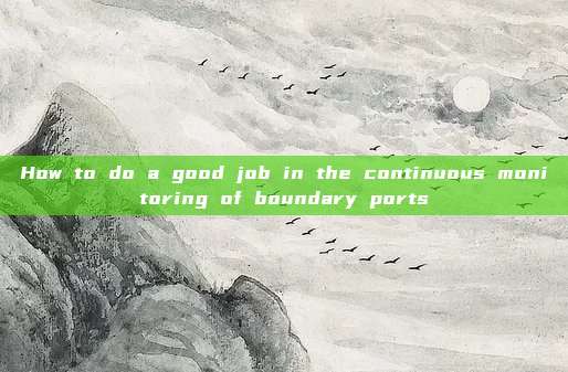 How to do a good job in the continuous monitoring of boundary ports