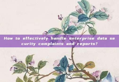 How to effectively handle enterprise data security complaints and reports？