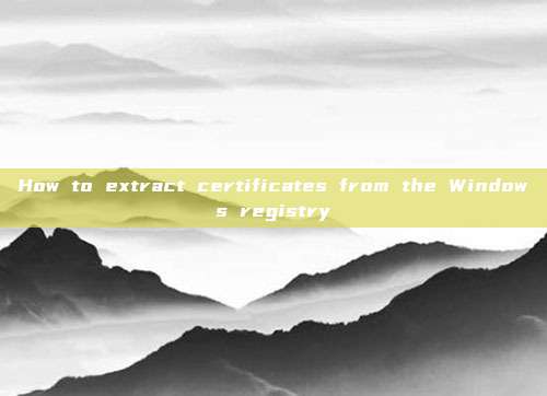 How to extract certificates from the Windows registry