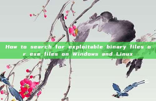 How to search for exploitable binary files or exe files on Windows and Linux