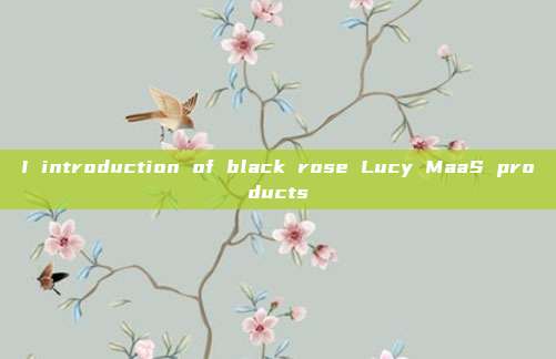 I introduction of black rose Lucy MaaS products