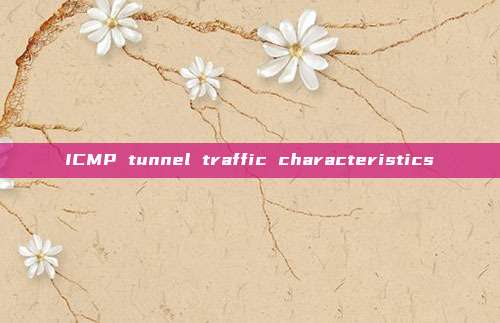 ICMP tunnel traffic characteristics