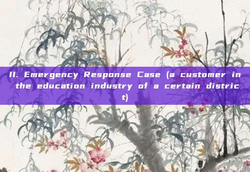II. Emergency Response Case (a customer in the education industry of a certain district)