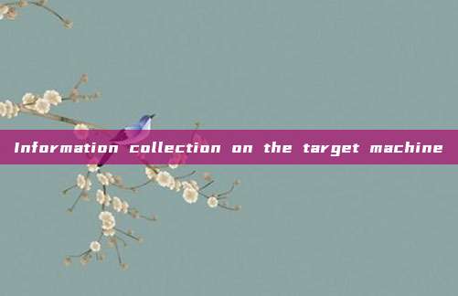 Information collection on the target machine