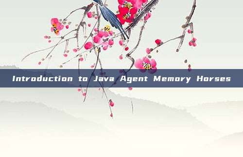 Introduction to Java Agent Memory Horses