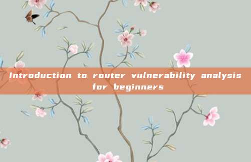 Introduction to router vulnerability analysis for beginners