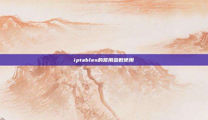 iptables的常用参数使用