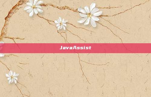 JavaAssist