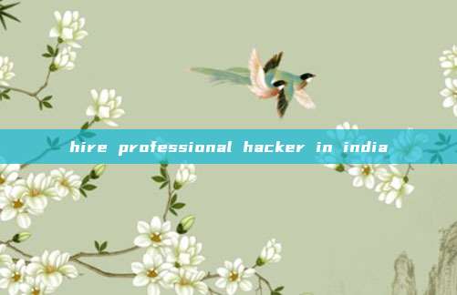 hire professional hacker in india