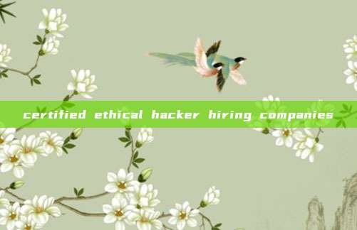 certified ethical hacker hiring companies