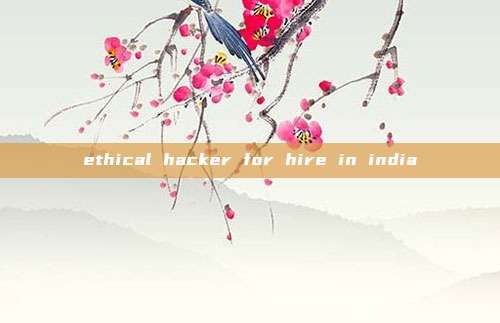 ethical hacker for hire in india