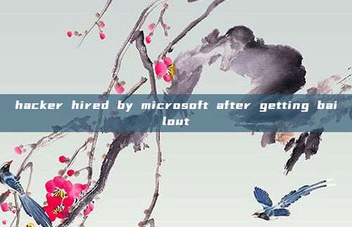 hacker hired by microsoft after getting bailout