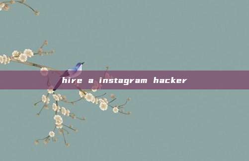 hire a instagram hacker