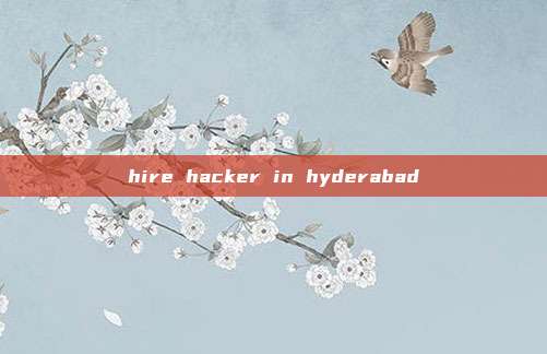hire hacker in hyderabad