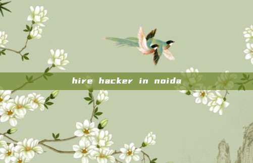 hire hacker in noida