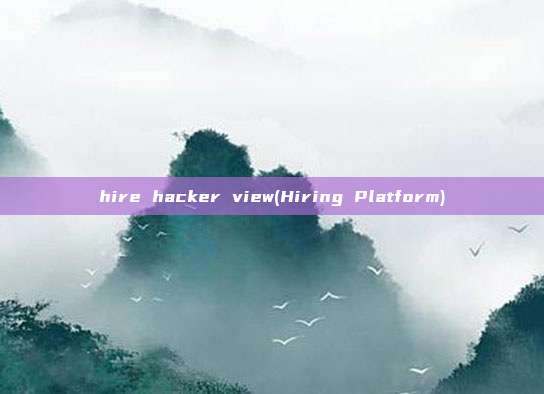hire hacker view(Hiring Platform)