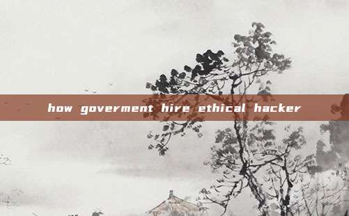 how goverment hire ethical hacker