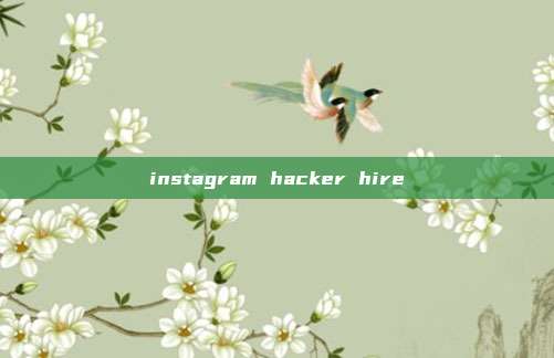 instagram hacker hire
