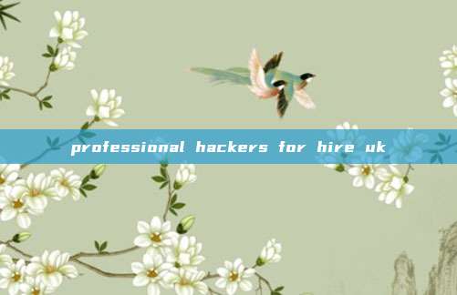 professional hackers for hire uk