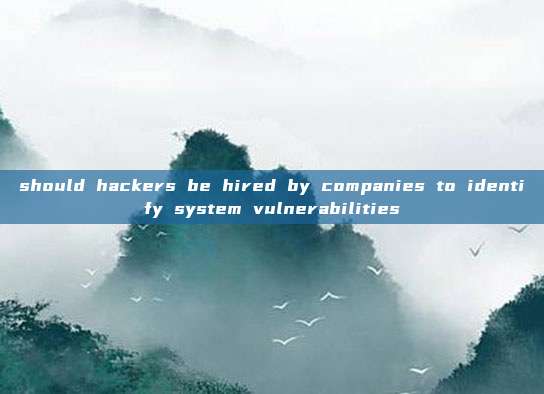 should hackers be hired by companies to identify system vulnerabilities