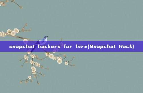 snapchat hackers for hire(Snapchat Hack)