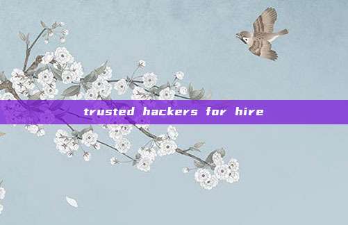 trusted hackers for hire