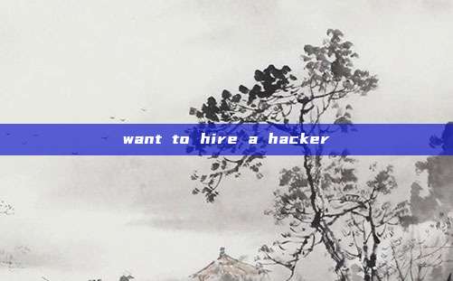 want to hire a hacker