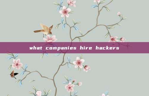 what companies hire hackers