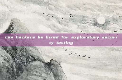 can hackers be hired for exploratory security testing
