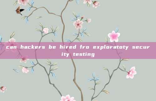 can hackers be hired fro exploratoty security testing