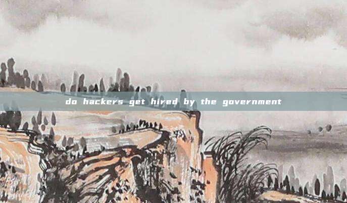 do hackers get hired by the government