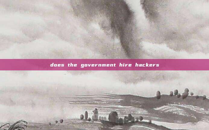 does the government hire hackers