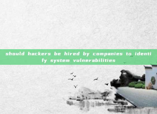 should hackers be hired by companies to identify system vulnerabilities