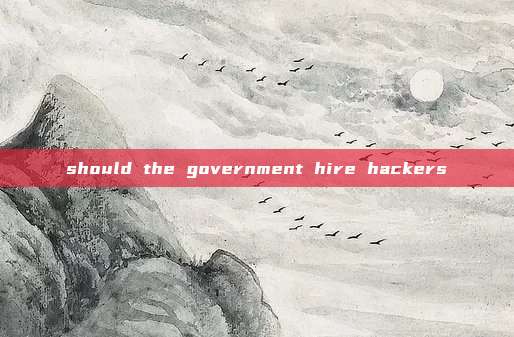 should the government hire hackers