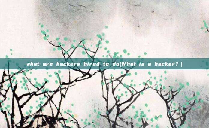 what are hackers hired to do(What is a hacker?)
