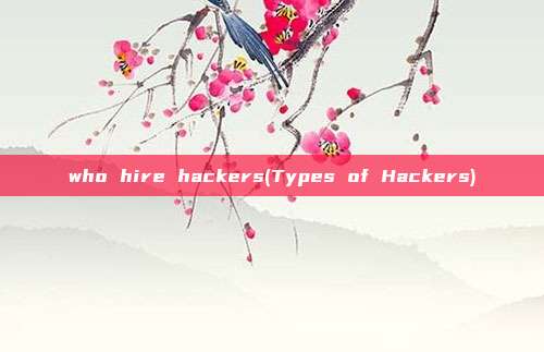 who hire hackers(Types of Hackers)