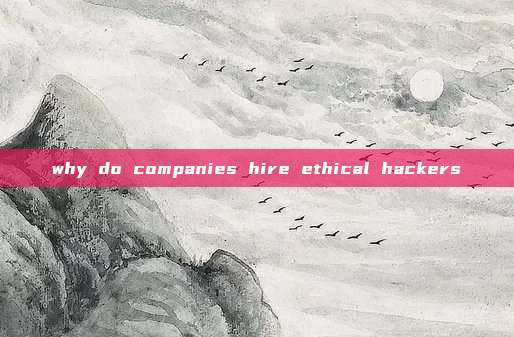why do companies hire ethical hackers