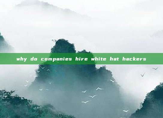 why do companies hire white hat hackers
