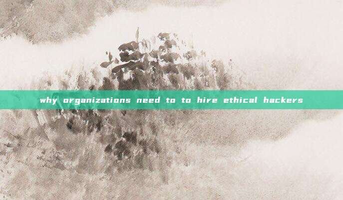 why organizations need to to hire ethical hackers