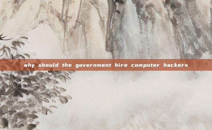 why should the government hire computer hackers